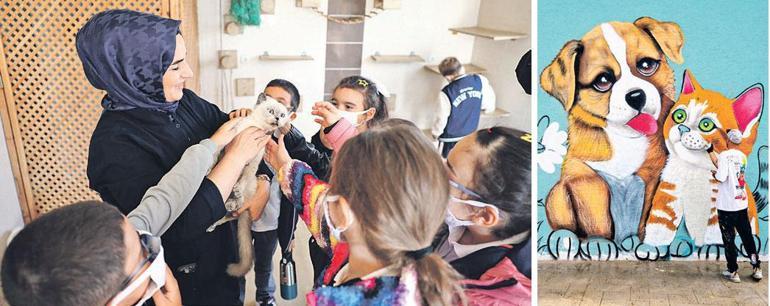 Can dostların yeni dünyası