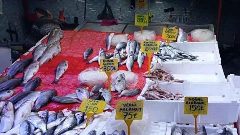 Hamsi fiyatları yarı yarıya düştü Samsunda kilosu 150 TLden satılıyor