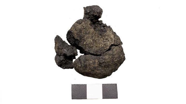 Anadolu sofralarının kökenine yolculuk: 4 bin yıllık nohut, 8 bin 600 yıllık ekmek kalıntıları bulundu