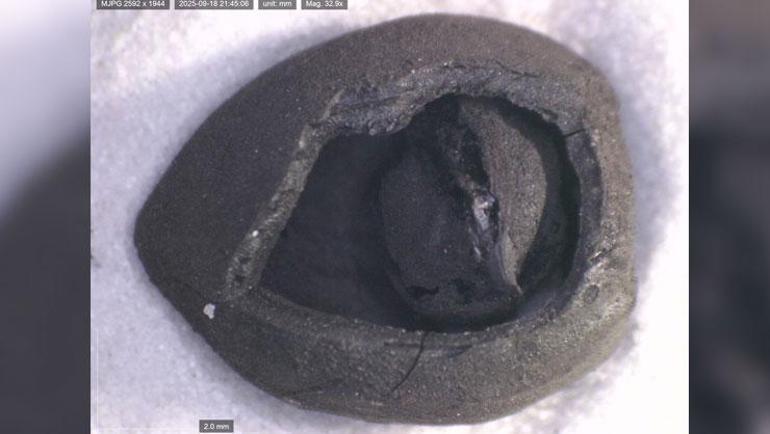 Anadolu sofralarının kökenine yolculuk: 4 bin yıllık nohut, 8 bin 600 yıllık ekmek kalıntıları bulundu