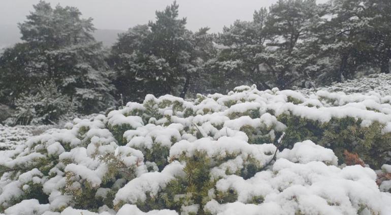 Kışa yaklaşırken kar yüzünü gösterdi Birçok il şimdiden beyaza büründü