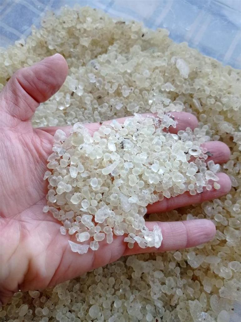 Çeşme’nin geleceği Sakız’da