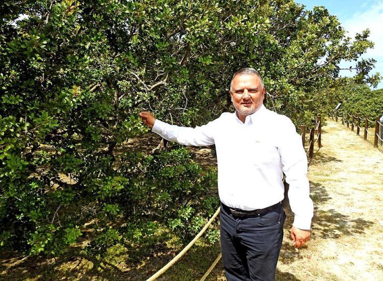 Çeşme’nin geleceği Sakız’da