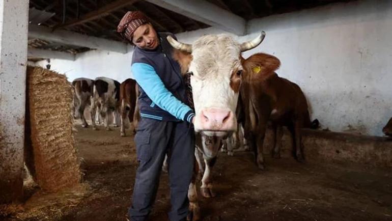 Köye gelin geldi, girişimci oldu Devlet desteğiyle büyüdü