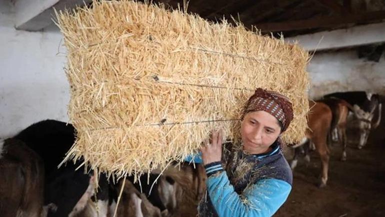 Köye gelin geldi, girişimci oldu Devlet desteğiyle büyüdü