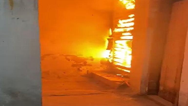Bodrum katta köpeği, satırı ve bıçağı ile yaşıyor 3 gece üst üste yangın çıkardı: Bir apartmanı tedirgin eden gizemli şahıs