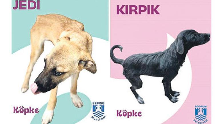 Dev tüneller Hatay’ı saracak