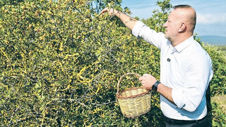 Dev tüneller Hatay’ı saracak