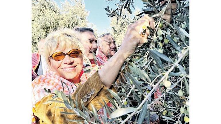 Asırlık bereket Hasat zamanı