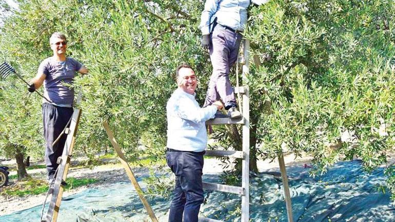 Asırlık bereket Hasat zamanı