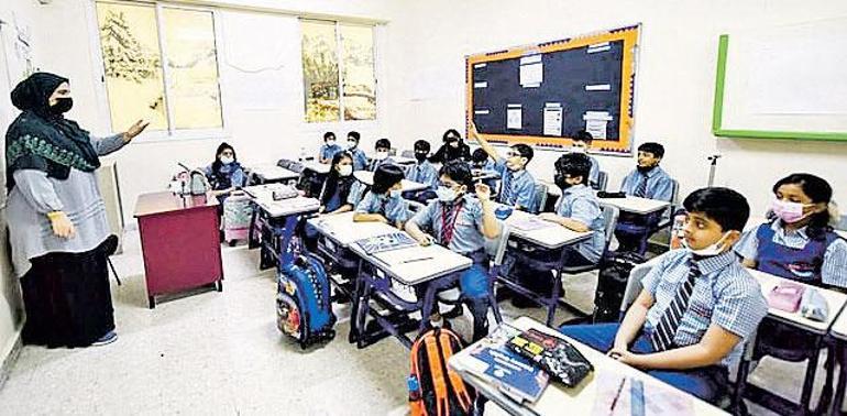 2025 model şendul Şabanlar: Çinli Kenler