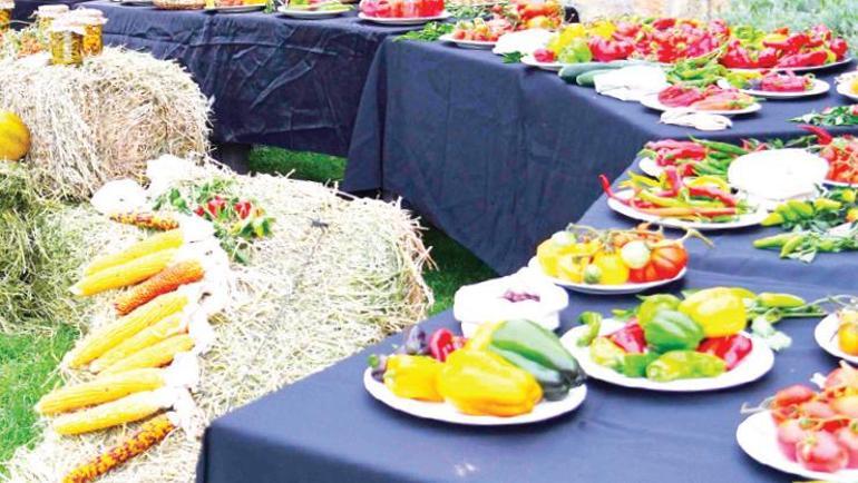 Başkentin yeşil ve huzurlu köşesi: Pursaklar