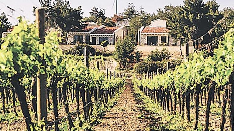 Kutsal değilsiniz beyefendi