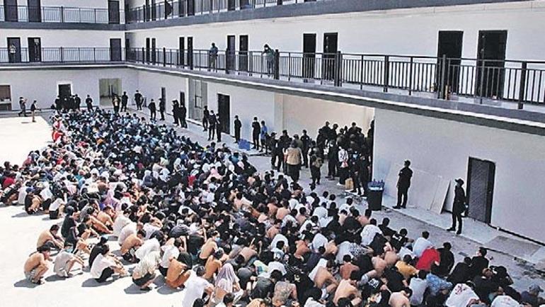 Kim çomak sokacak bu arı kovanına