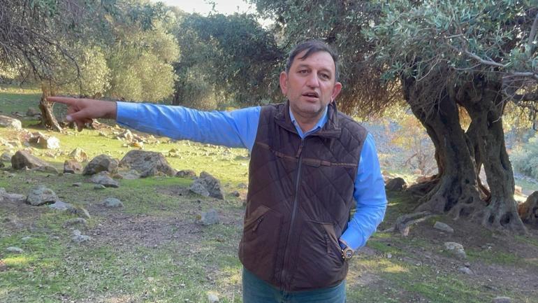 Sadece 4 ülkede var, Türkiye onlardan biri Kim getirdi hala bilinmiyor