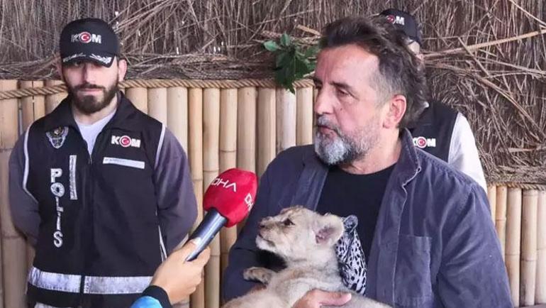 Koruma altına alınan yavru aslana ‘Hugo’ adı verildi