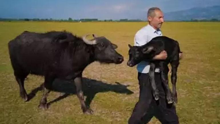 Tokatlı fırın ustasının Paris’teki ödül sevincine vize engeli