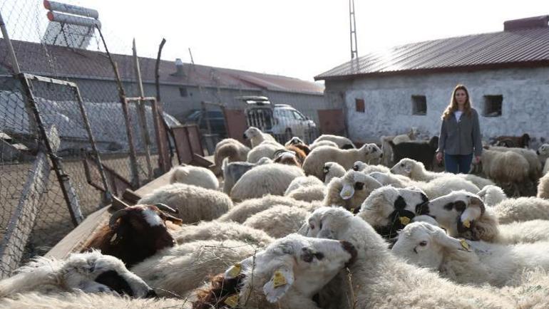 3 yılda 4e katladı: Çok güzel bir iş, umduğumdan daha rahat oldu