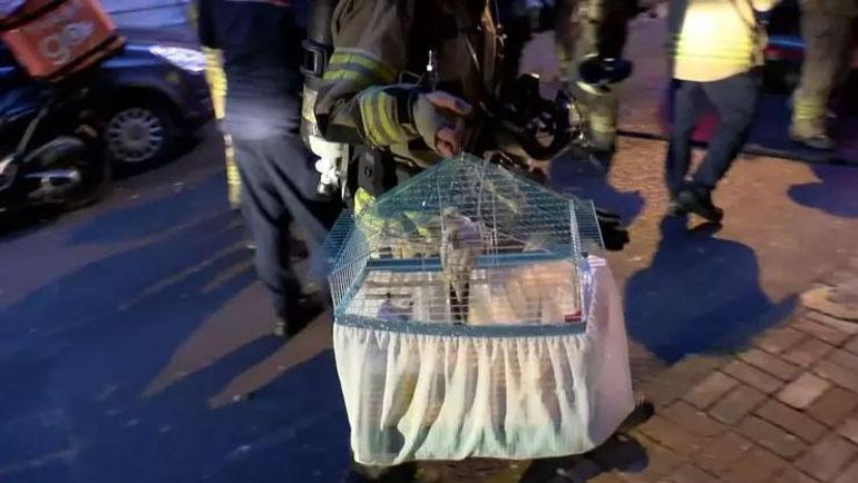 Küçükçekmecede korkutan yangın: 1i bebek 2si çocuk 6 kişi kurtarıldı