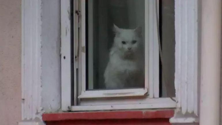 Küçükçekmecede korkutan yangın: 1i bebek 2si çocuk 6 kişi kurtarıldı