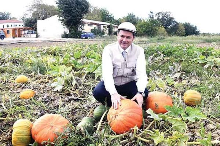 Geçmişin izinde bugünün kalbinde: Osmangazi