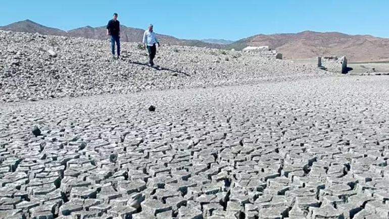 2050 yılı için korkutan senaryoyu anlattı: Kapımızda bu insanlarla karşılaşacağız