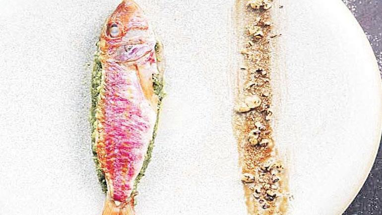 Uluslararası arenadayız