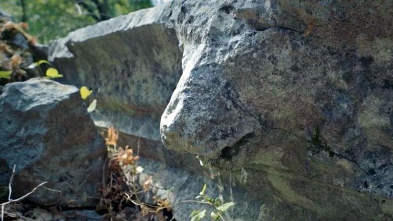 Büyük İskendere direnmişti Termessos Antik Kentinde 2 bin yıl sonra üzen görüntü