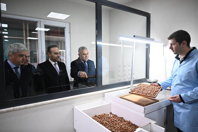 52 milyon dolarlık dev proje Bakan Kacır: Tonlarca fındık kabuğu heba edilmeyecek