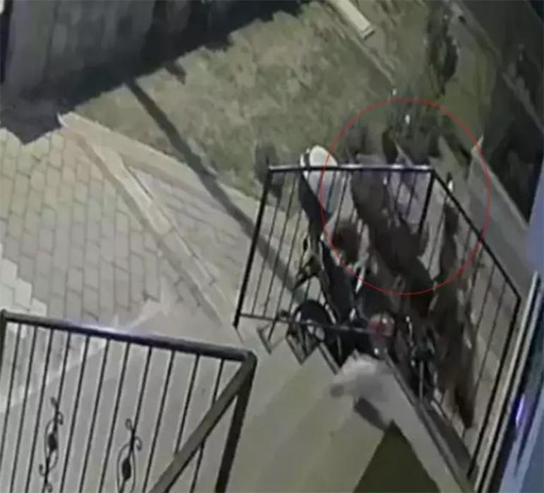 Eşini intihara yönlendirmekle suçlandı Profesörün yargılandığı davada dikkat çeken ilişki detayı