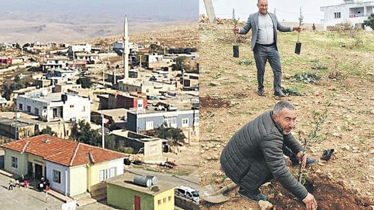 Yalnızlığa karşı insan zinciri