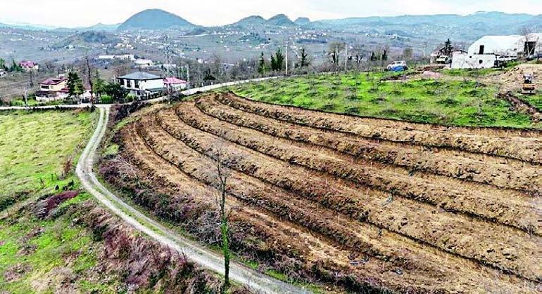 Siyah kırmızının Avrupa başarısı