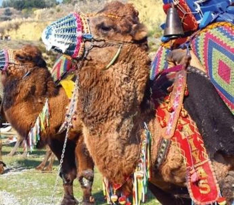 Antik kentlerin gölgesinde Germencik