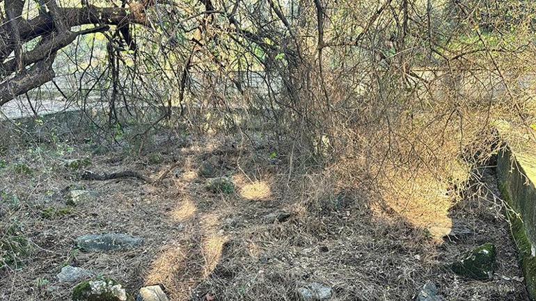Alan hayır görmez 200 yıllık adak taşı çalındı: Muhtardan hırsıza şoke eden uyarı