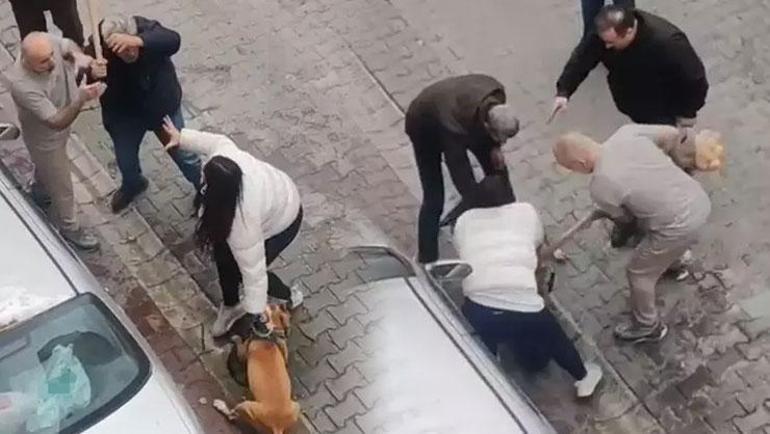 Pitbull saldırısı sonrası tepki çeken görüntüler Köpeğin sahibi müdahaleyi engelledi