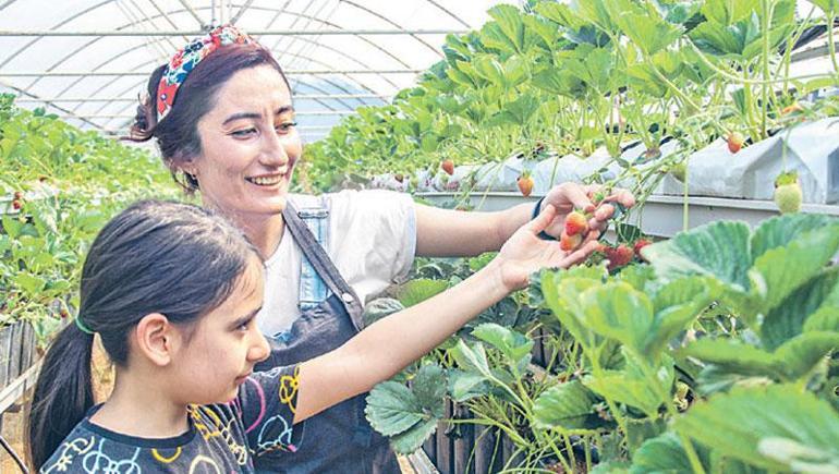 Seracılarımızın gözü dünya zirvesinde