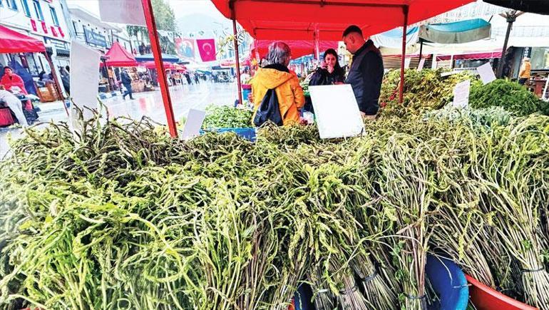 Ege’de toprağın bereket zamanı