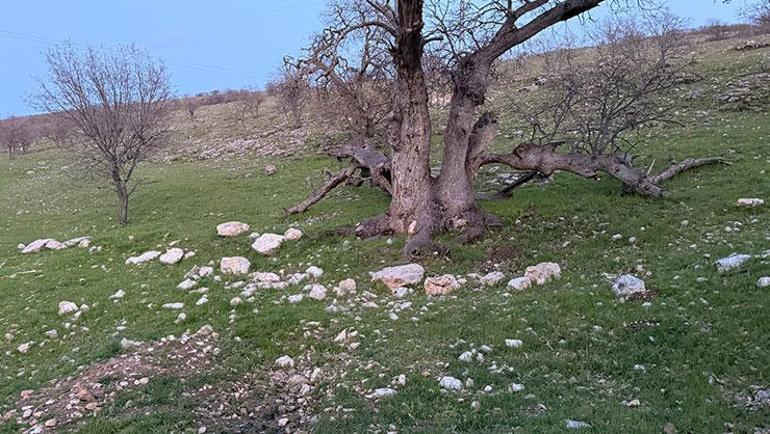 Gülistan Doku’nun mezar yeri, 18 noktada 40 kilometrelik alanda arandı