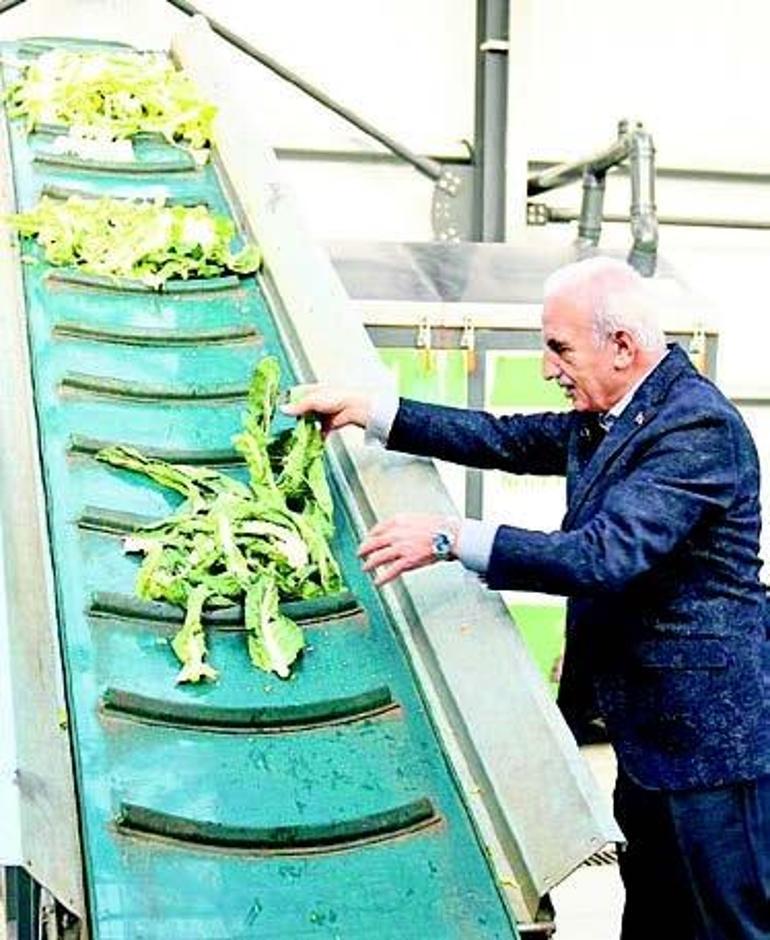 Şehrin kalbinde yeşil dönüşüm