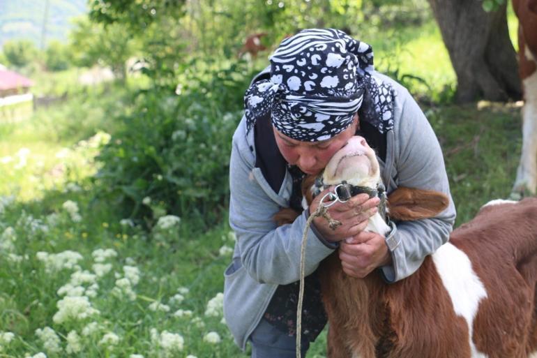 Türkiyeye yerleşen yabancı gelin hayvancılığa renk katıyor Süt, tereyağı ve peynir üretip büyükşehirlere kilo kilo satıyor