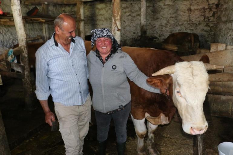 Türkiyeye yerleşen yabancı gelin hayvancılığa renk katıyor Süt, tereyağı ve peynir üretip büyükşehirlere kilo kilo satıyor