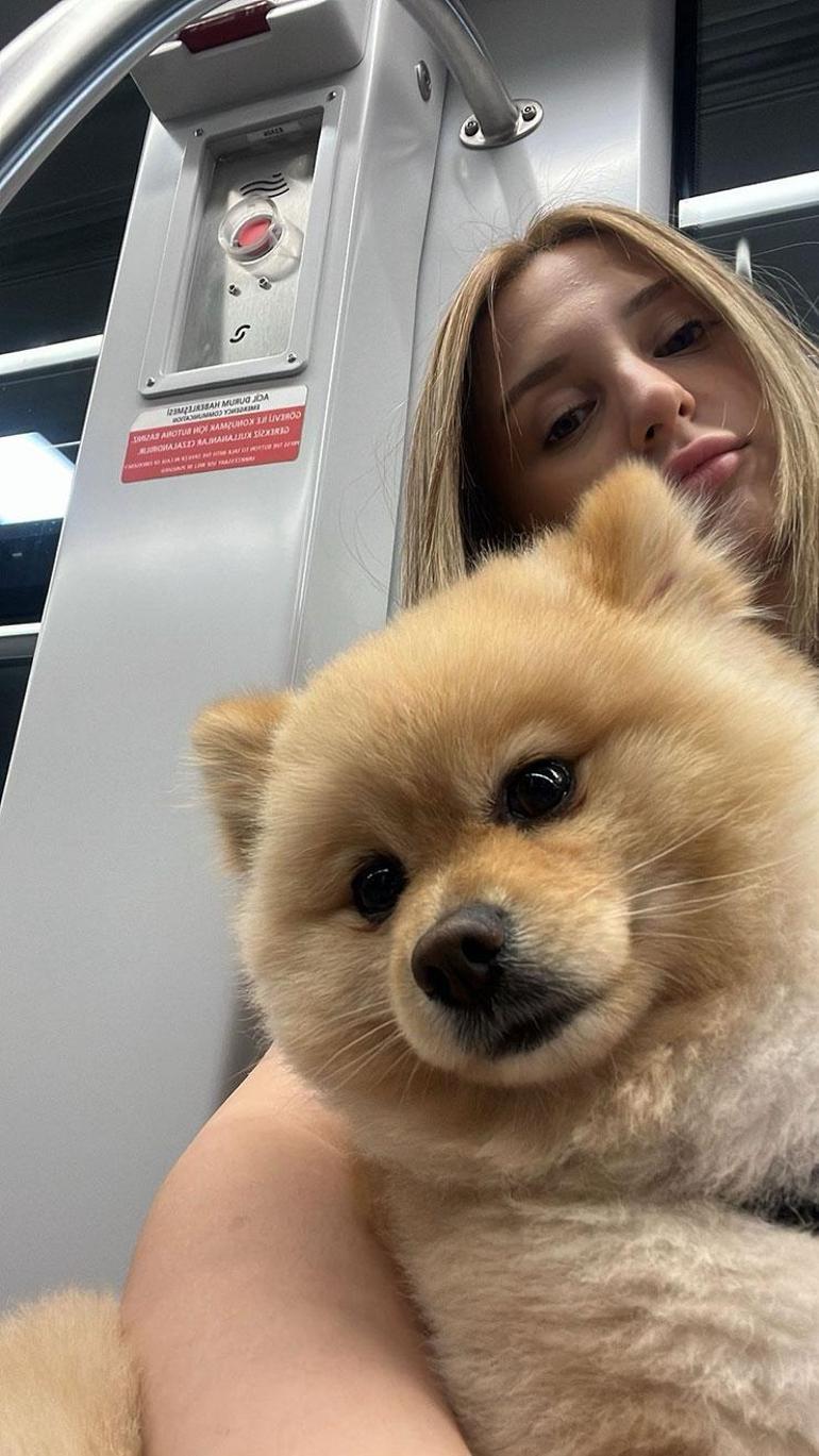 Petshopta ihmal iddiası Bony boğazına bağlanan ipin kurbanı mı oldu Benim aşkım çok zorlanmış