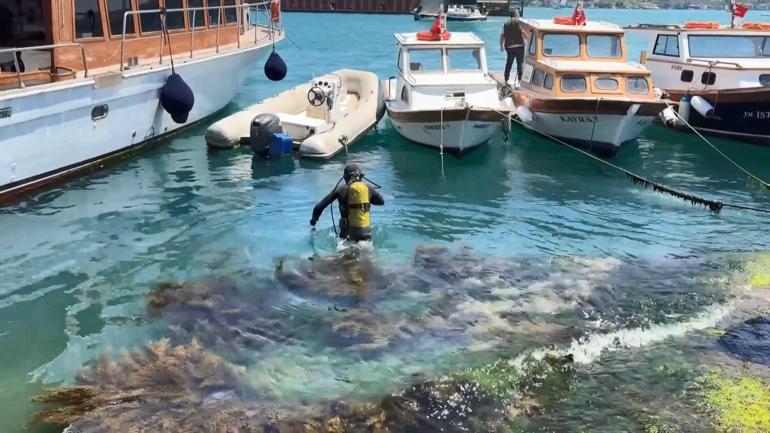 Boğaz’da ‘midye’ faciası Gece daldı, cesedi 12 saat sonra çıktı