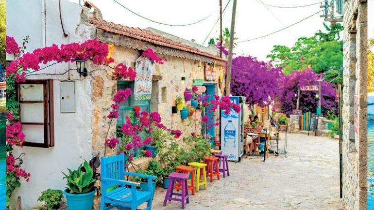 Yalnızca turizm değil tarımın da başkenti: Muğla
