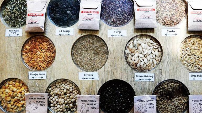 Yalnızca turizm değil tarımın da başkenti: Muğla
