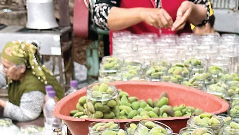 Yalnızca turizm değil tarımın da başkenti: Muğla