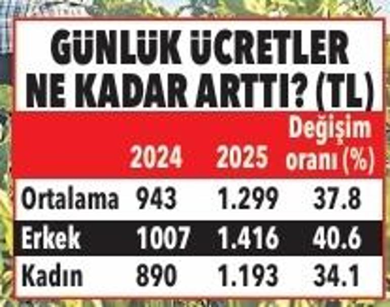 İklim değişikliği mevsimlik tarım işçisini de vurdu