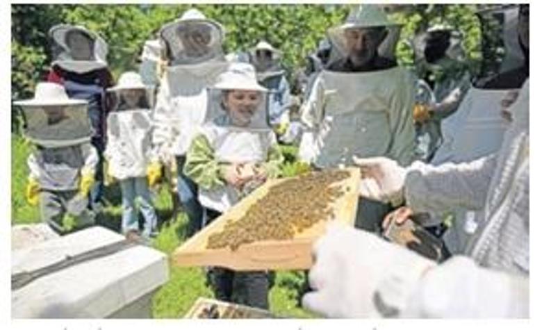 Arı ve turizm aynı rotada