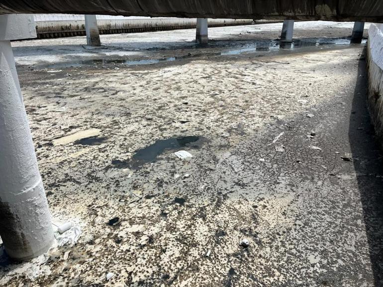 İzmirde Dünya Çevre Gününde maskeli isyan Burada nefes almak bile imkansız