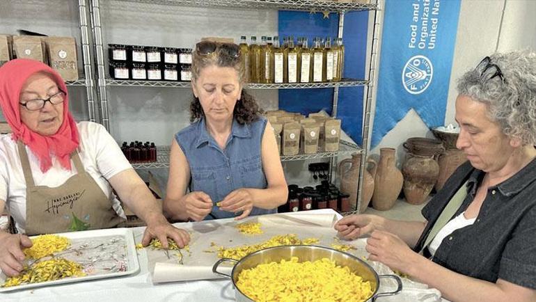 Küllerinden yeniden doğma taktikleri